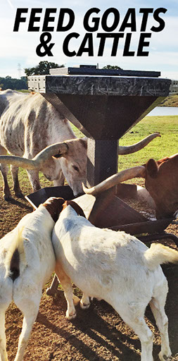 The Feed Rangler